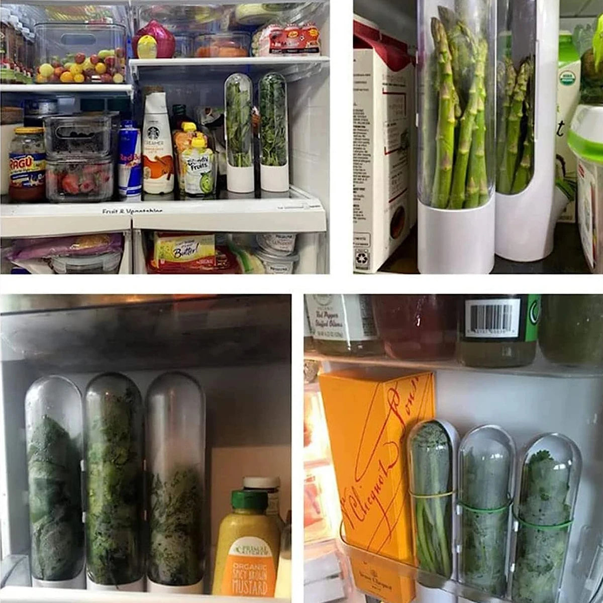 Herb Saver Storage Container in Refrigerator