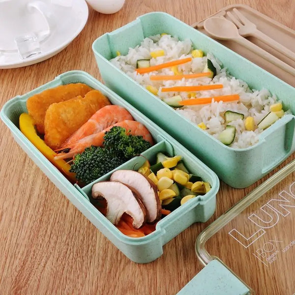 Green Eco Friendly Lunch Box