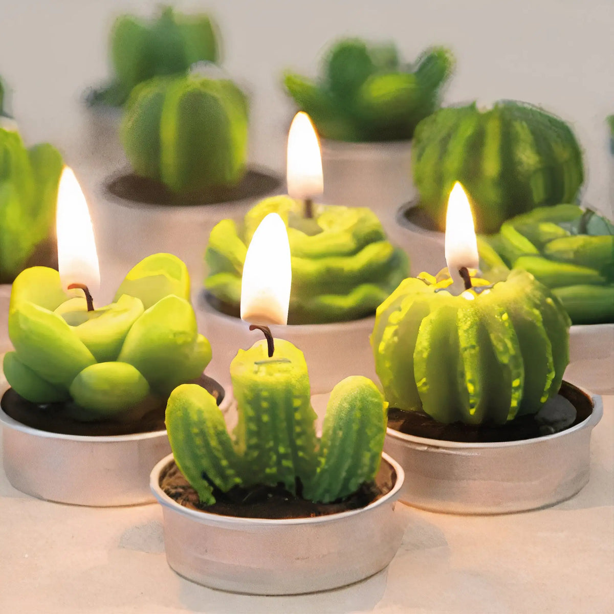 Sahara Succulent Candle Set