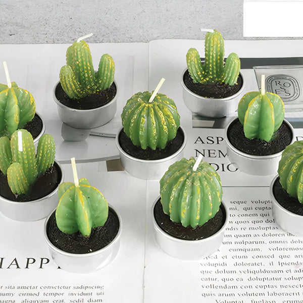 Sahara Succulent Candle Set